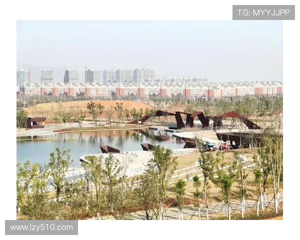 南京极限运动队节奏对比深度解析与发展趋势探讨