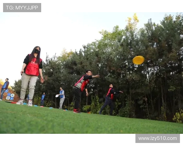 飞盘配合实力大比拼北京飞盘队荣获全国第六名佳绩