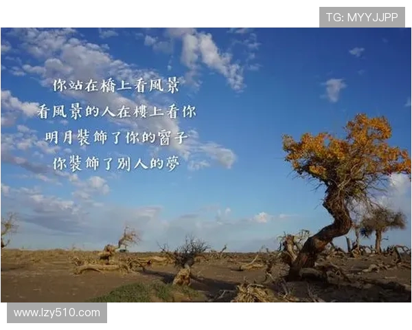 刘铮的奋斗历程与成长故事探寻他在篮球场上的传奇与人生哲学